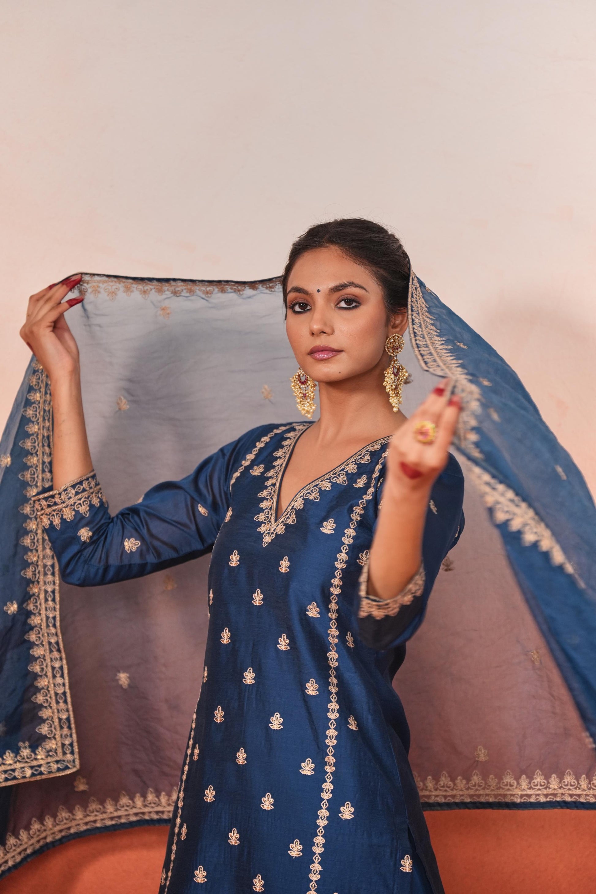 Gulzaar - Blue Chanderi Embroidered Suit Set- NV