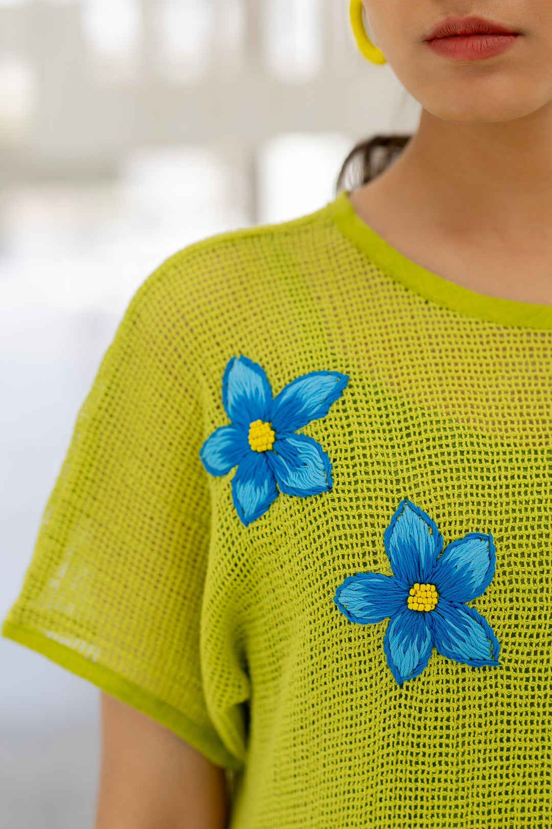 Avocado Mesh Embroidered Dress- SS