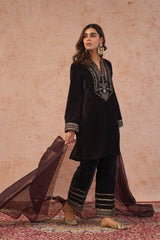 REGAL BROWN VELVET SUIT- II