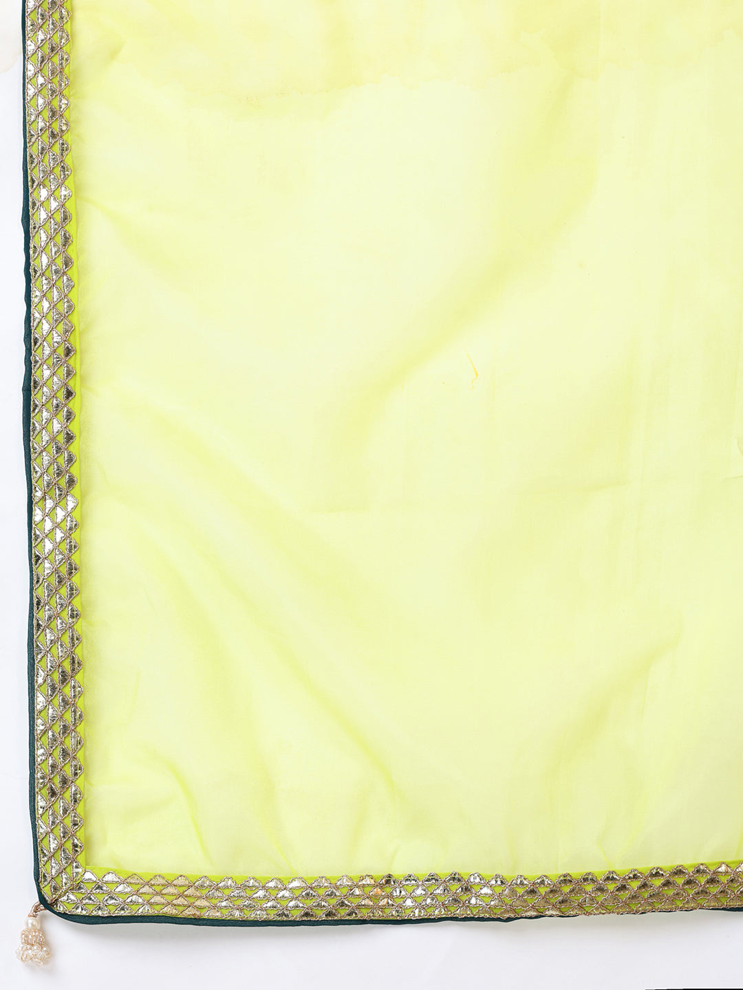 Women Plus Size Geometric Foil and Zari Embroidered Kurta Set with Dupatta - ID