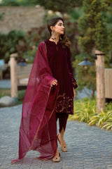 WINE VELVET SUIT WITH TULIP PANTS- II